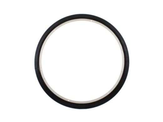 Dichtungsring (hinten)