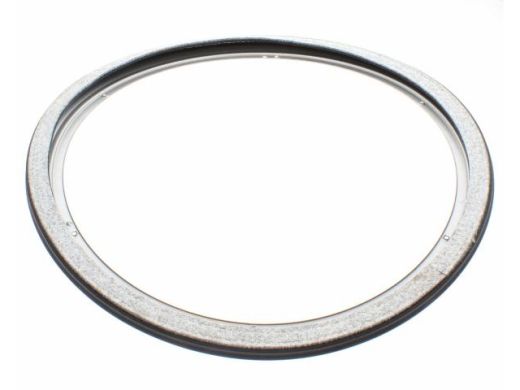 Dichtungsring (hinten)