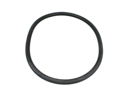 O-Ring (Sumpf) O-Ring (Sumpf)
