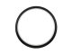Dichtungsring (hinten)