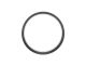 Dichtungsring (hinten)
