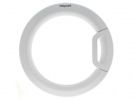 Fenster kpl. (Hotpoint)