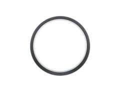 Dichtungsring (hinten)