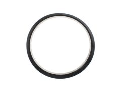 Dichtungsring (hinten)