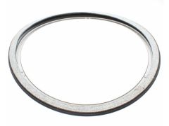 Dichtungsring (hinten)